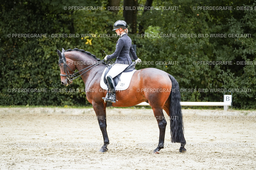 DSC09625 | Pferdegrafie