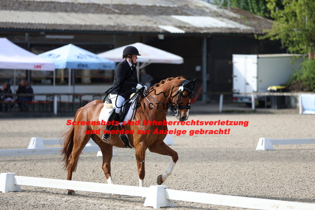 A40A3370 | lmwpictures - Realisiert mit Pictrs.com