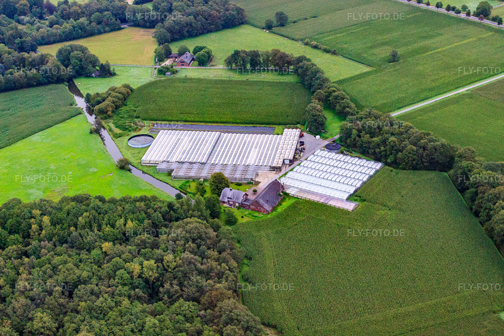 Luftbild: Gewächshäuser von Gartenbau Schmidt im Ortsteil Vinkrath in Grefrath im Bundesland Nordrhein-Westfalen in Deutschland. – Foto: IMG_44803.jpg vom 21.08.2011 durch Werner Riehm/FLY-FOTO.de – Auflösung des Originals: 4752 x 3168 px – WWW.GARTENBAU-SCHMIDT.NET