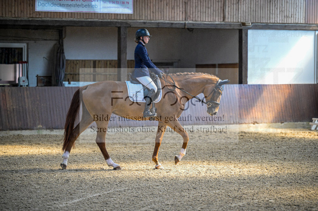 Reitturnier Voxtrup | Entdecke hochwertige Reitturnierfotos von Foto Oger. Professionell, emotional und authentisch – jetzt Lieblingsmomente im Shop bestellen.Deutschlandweite Turnierfotografie. - Realisiert mit Pictrs.com