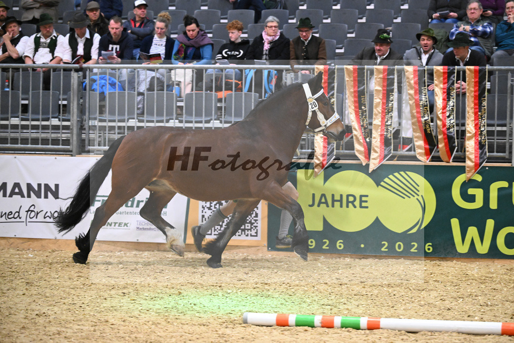 Kat-Nr. 20 Johanna v. Schwansee_Engelhard_1260290 | hf-fotografie - Realisiert mit Pictrs.com