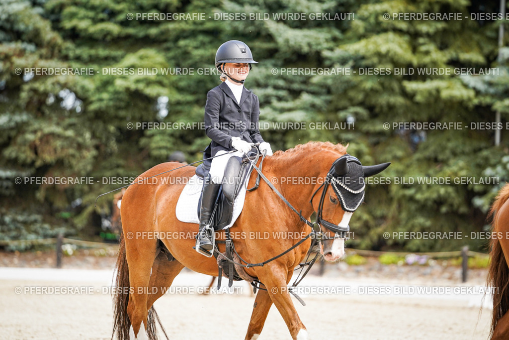 DSC02582 | Pferdegrafie