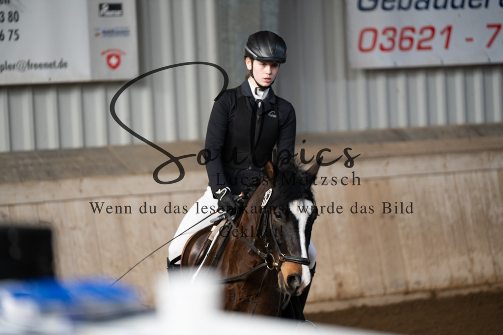 A7V05029 | Pferdefotograf