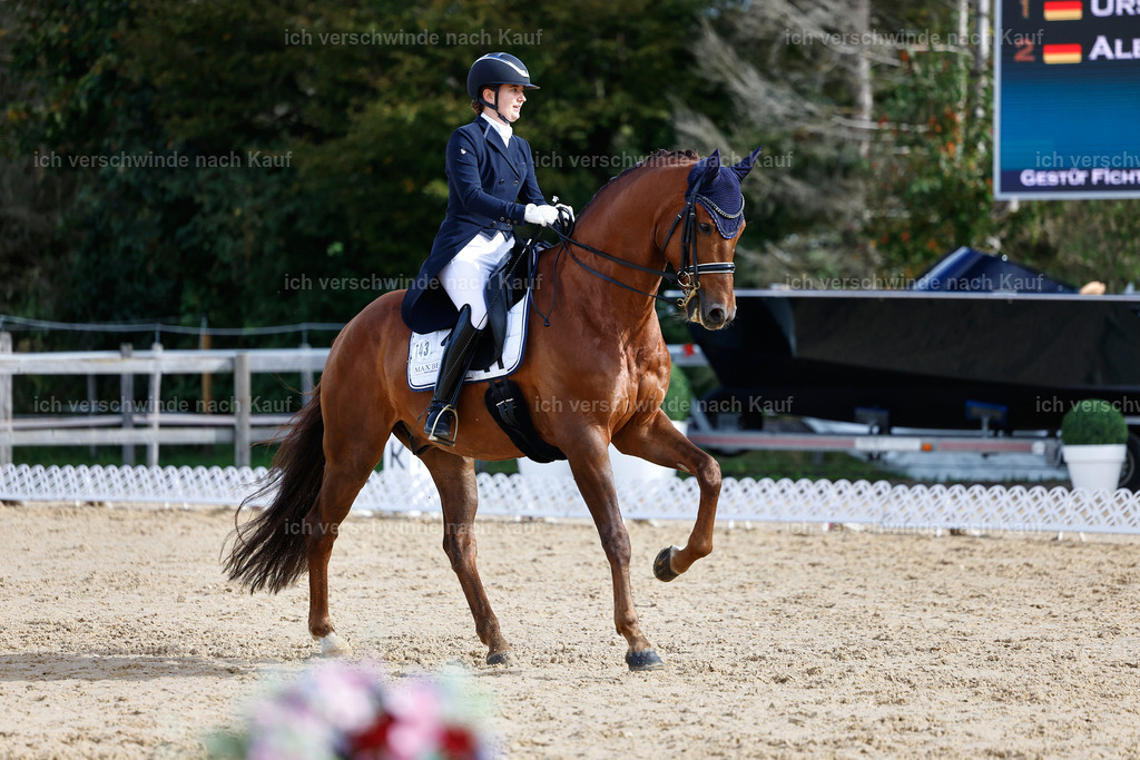 6-143-AMATUER-DRESSUR S_  -StoibPH-3427 | working equitationturnier fotograf videograf stoibphotography marixx film working equitation deutschland reitsport turnierfotografie eventfotografie equestrian events