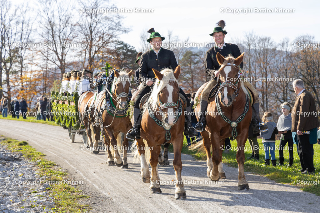 LBT24-1241 | foto-bettina-krinner - Realisiert mit Pictrs.com