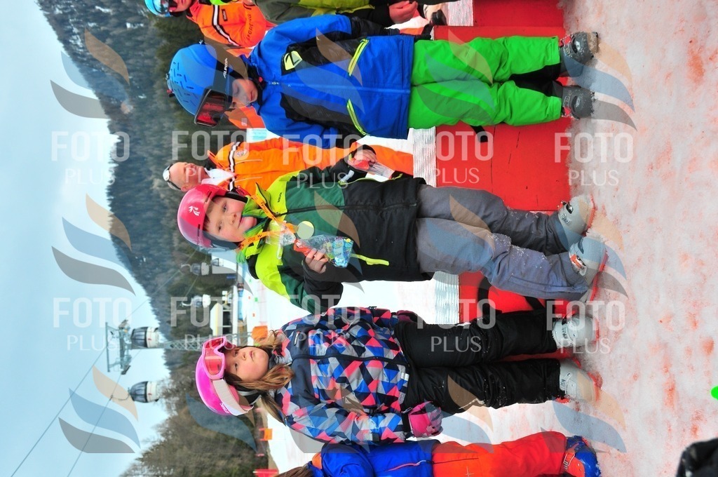 C1515 | holidayphoto