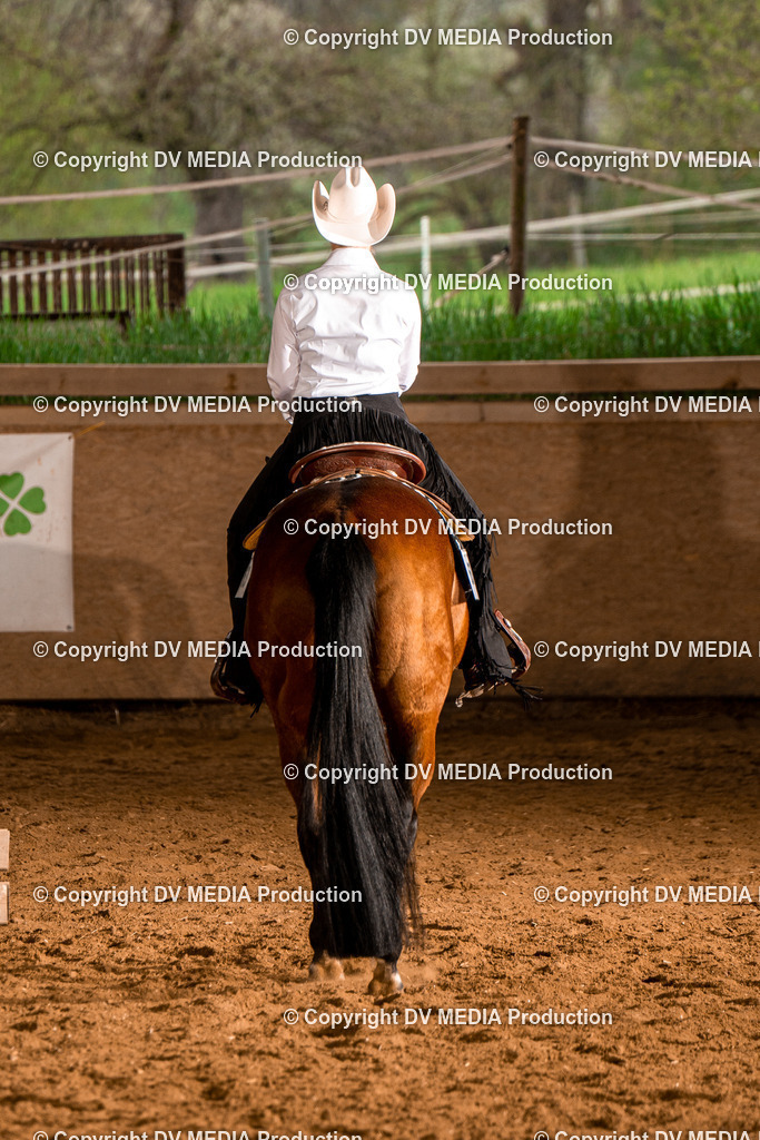 BAL00156 | dv-media-shop - Realisiert mit Pictrs.com