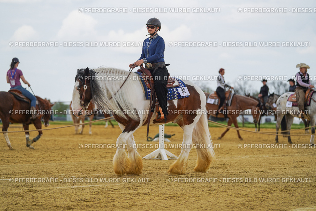 DSC06049 | Pferdegrafie