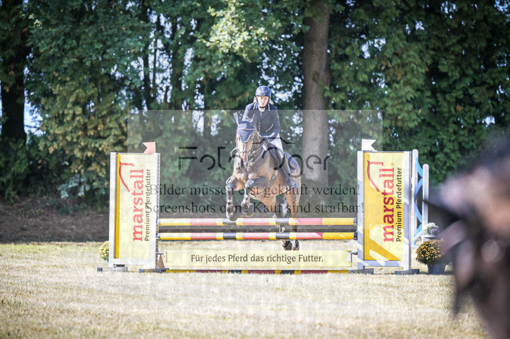 DOS_0331 | Entdecke hochwertige Reitturnierfotos von Foto Oger. Professionell, emotional und authentisch – jetzt Lieblingsmomente im Shop bestellen.Deutschlandweite Turnierfotografie. - Realisiert mit Pictrs.com