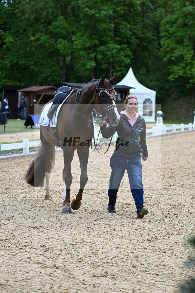 Equistro Dressurderby_26268183 | hf-fotografie - Realizzato con Pictrs.com