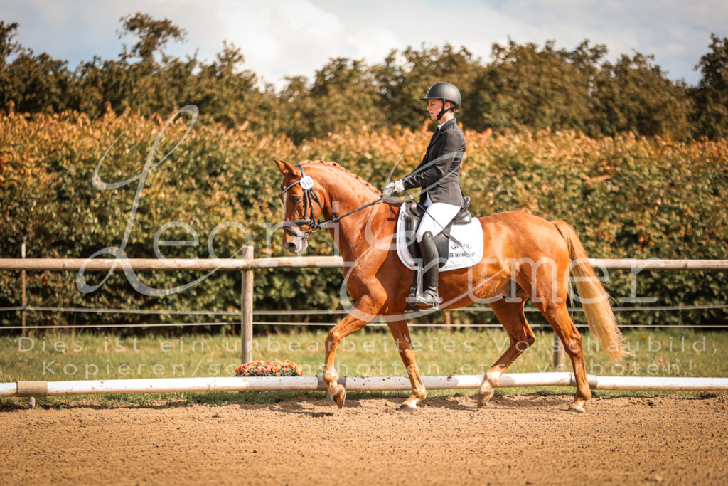 15.SaDrL00002 | Leoni Ertmer Photography - Realisiert mit Pictrs.com