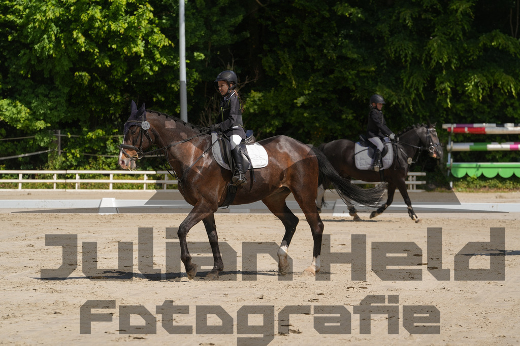 DSC03201 | Julian Held Fotografie - Realisiert mit Pictrs.com