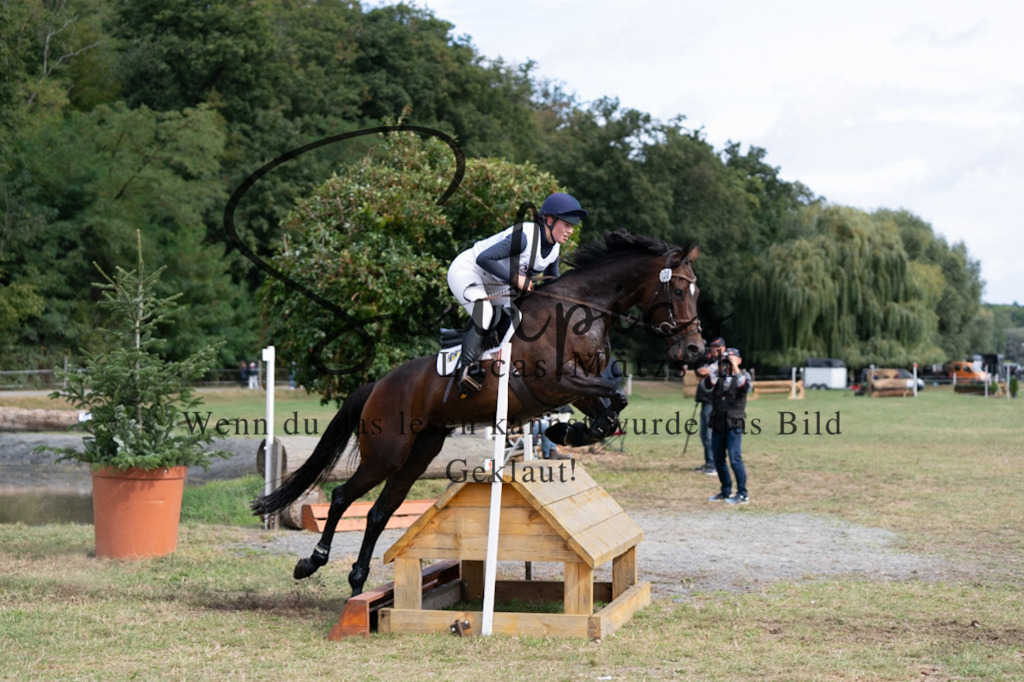 A7V00871 | Pferdefotograf