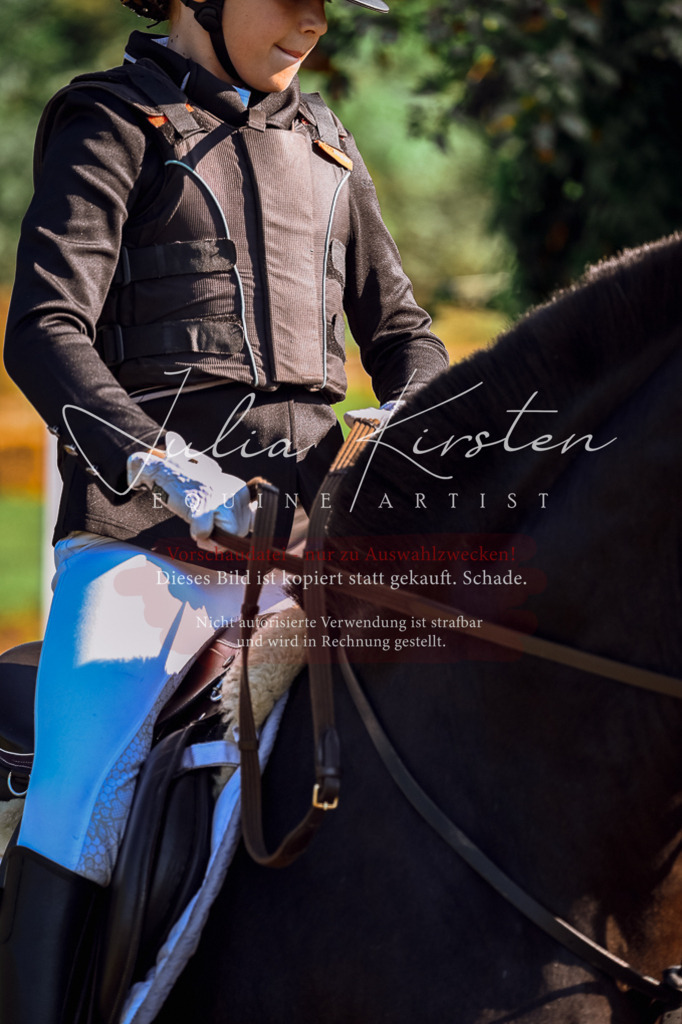DSC_0398 | Pferde- und Turnierfotografie in Westsachsen. Pferdeportraits, Auftragszeichnungen und intuitive Kunst.