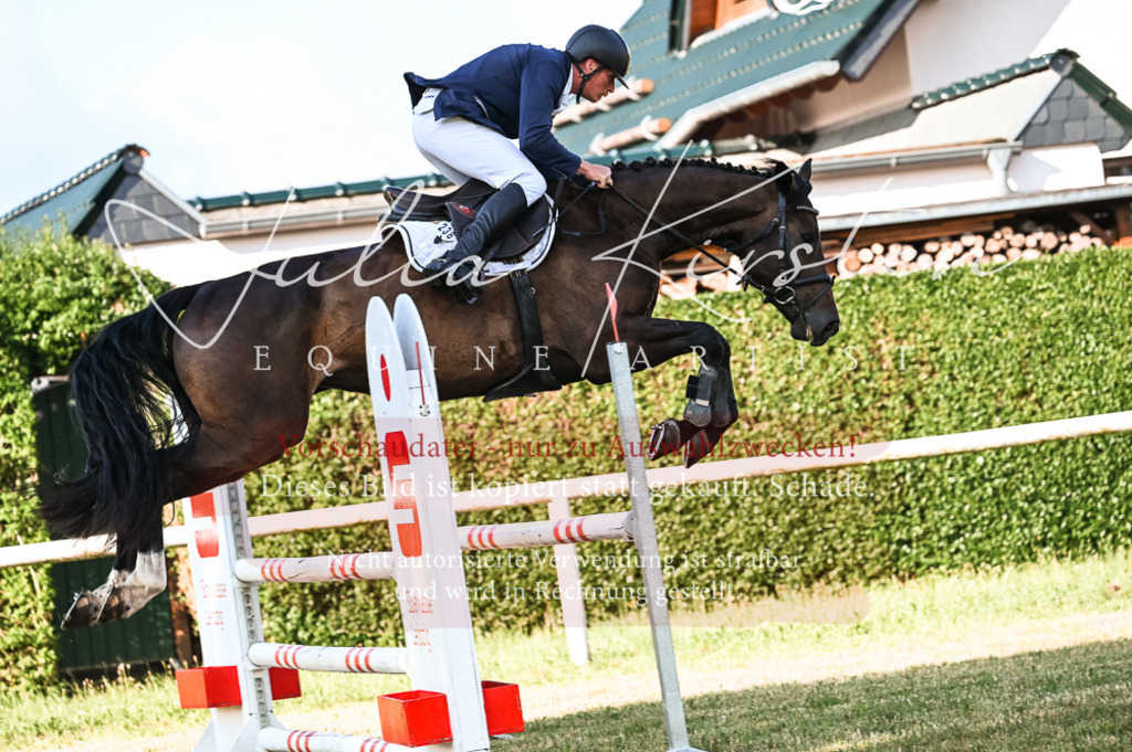 DSC_7457 | Pferde- und Turnierfotografie in Westsachsen. Pferdeportraits, Auftragszeichnungen und intuitive Kunst.