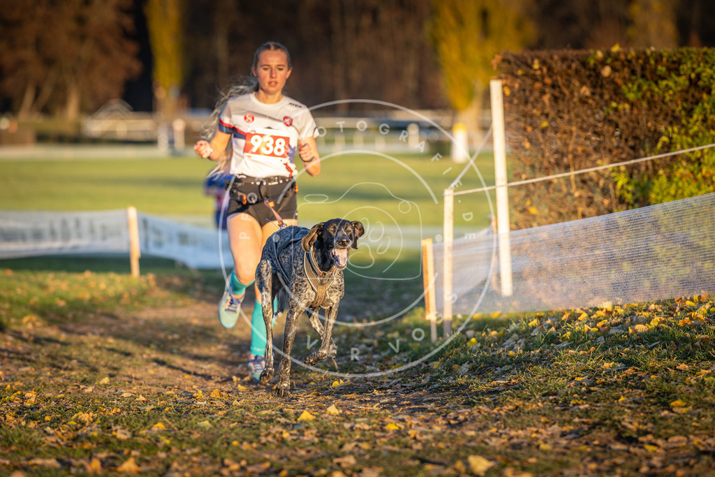 CaniXpix_DV3A5264 | Hundefotografie, Tierfotograf, Pfotenfotografie, Fotoshooting Hund, Hunde Portrait, Hundesport, Hundeportraits, Heideshooting, Hunde, Sportfotograf, Hundefotograf, Turnierhundsport, THS,  - Realisiert mit Pictrs.com