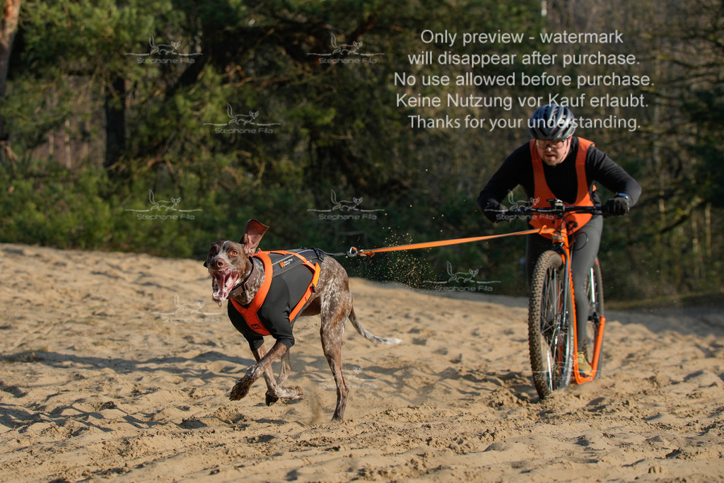 So_Scooter-56 | stephaniefillaphotographie - Realisiert mit Pictrs.com