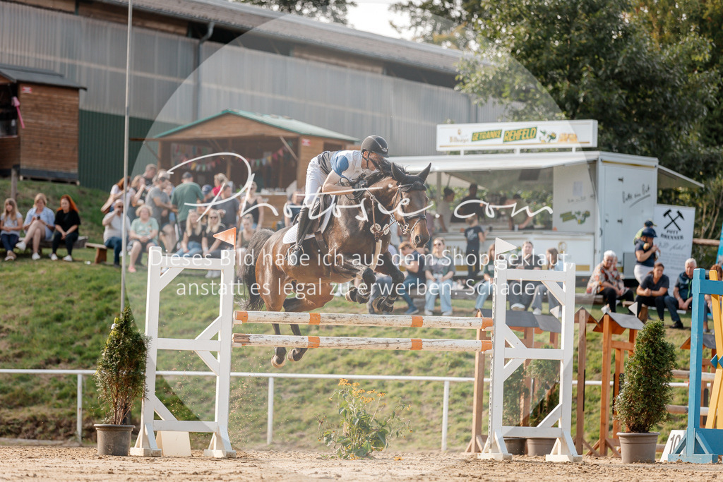 3I6A5141 | Stimmungsvolle Portraits und Reitsportfotografie im Ruhrgebiet und im Münsterland.

Pferdefotografie, Hundefotografie, Tierfotografie, Reportagen, Portraits von Tier und Mensch, Turnierfotografie in Bochum, Recklinghausen, Marl, Haltern am See, Dülmen.. - Realisiert mit Pictrs.com
