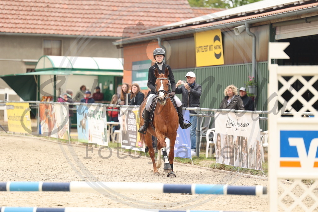 994A8681 | sabrinanicolaifotografie - Realisiert mit Pictrs.com