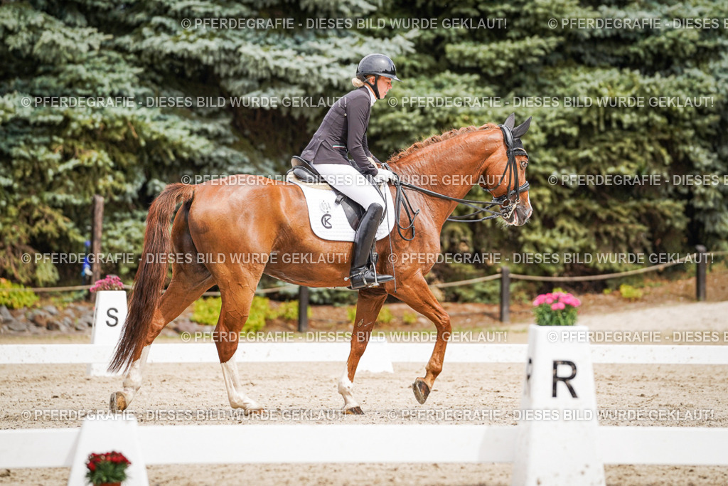 DSC05351 | Pferdegrafie