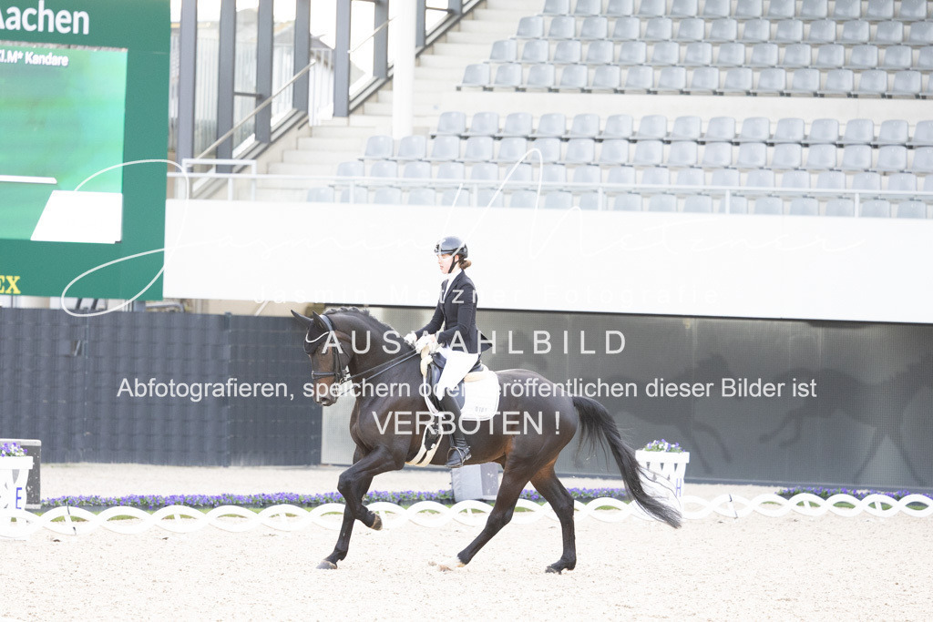 126A4499 | jasminmetznerfotografie