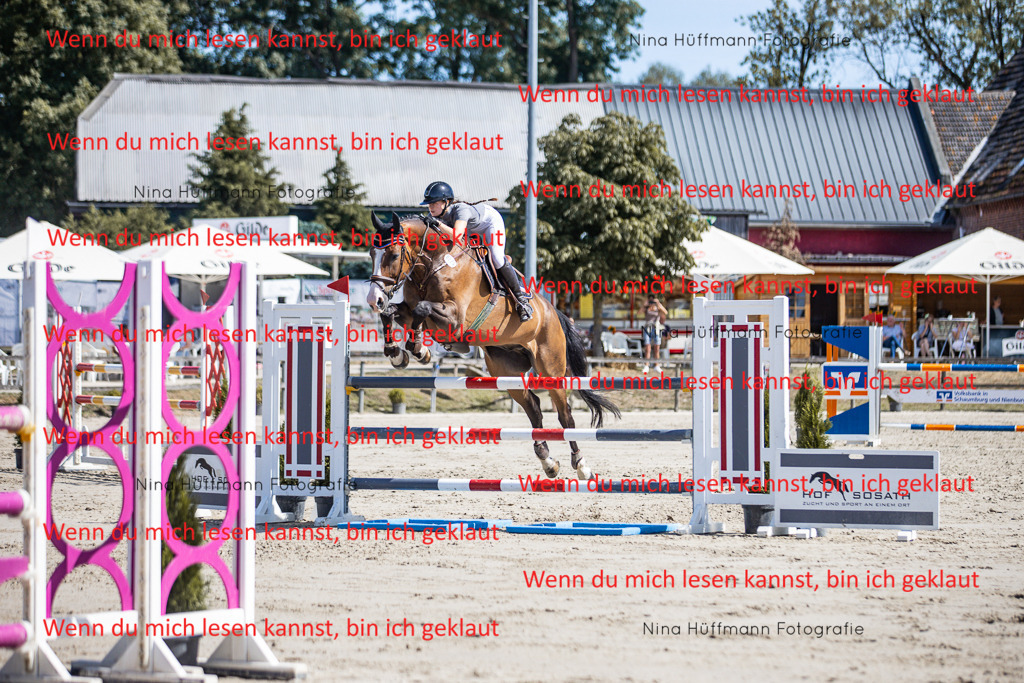 BK1A6758 | Turnierbilder Turnierfotos Nina Hüffmann Turnierfotografie Pferdefotografie Tierzeichnung Haustierzeichnung Pferdezeichnung Hundezeichnung Videograf  - Realisiert mit Pictrs.com