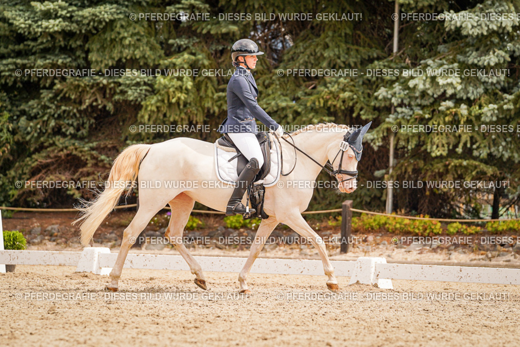 DSC02008 | Pferdegrafie