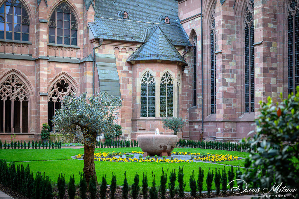 Der Hohe Dom St. Martin zu Mainz | Der Hohe Dom St. Martin zu Mainz