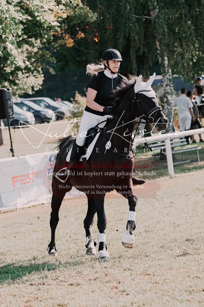 DSC_4758 | Pferde- und Turnierfotografie in Westsachsen. Pferdeportraits, Auftragszeichnungen und intuitive Kunst.