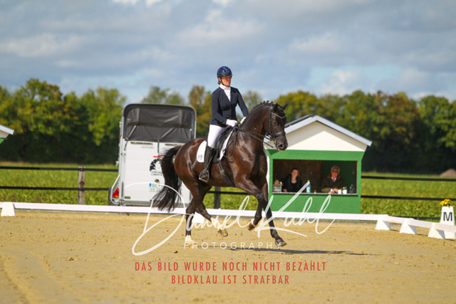 DKP44020 | Turniersportfotografie; Pferdefotografie; Dressurfotografie