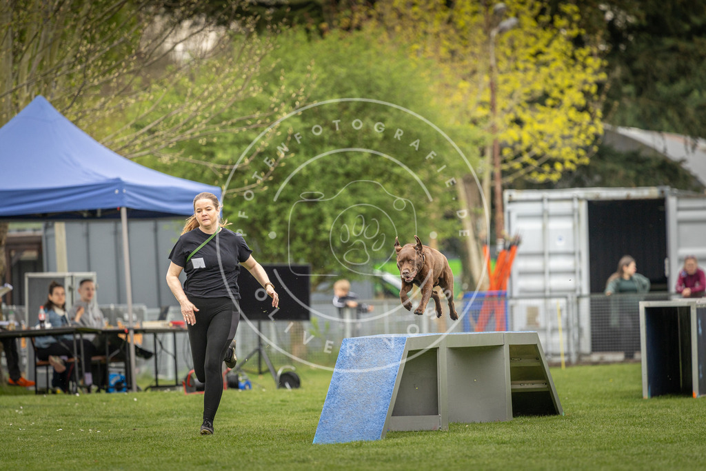 Pfotenfotografie_DV3A0977 | Hundefotografie, Tierfotograf, Pfotenfotografie, Fotoshooting Hund, Hunde Portrait, Hundesport, Hundeportraits, Heideshooting, Hunde, Sportfotograf, Hundefotograf, Turnierhundsport, THS,  - Realisiert mit Pictrs.com
