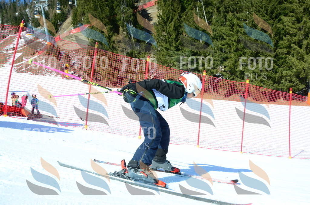 C5901 | holidayphoto