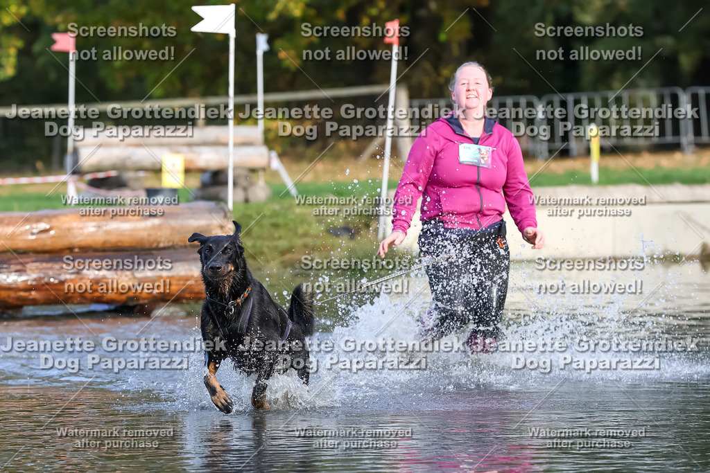 Dog Paparazzi - Strongdog 10-25-7065 | Dog Paparazzi Jeanette Grottendiek Fotografie & Videografie - Realisiert mit Pictrs.com