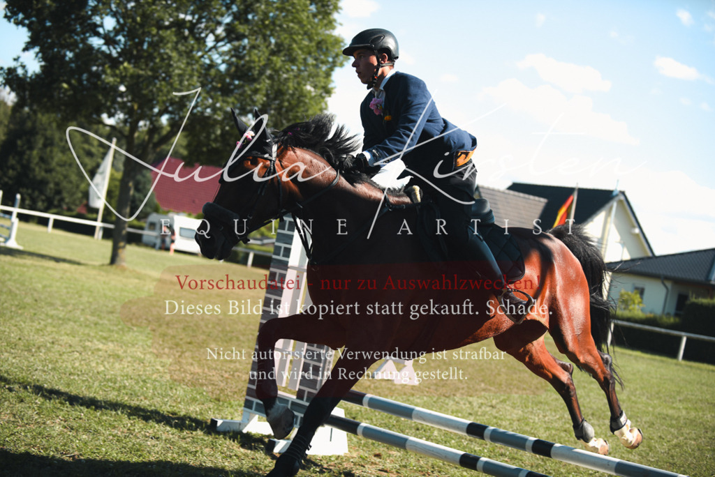 DSC_7698 | Pferde- und Turnierfotografie in Westsachsen. Pferdeportraits, Auftragszeichnungen und intuitive Kunst.