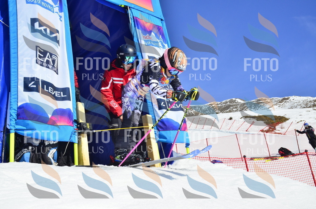 _ELE9816 | holidayphoto