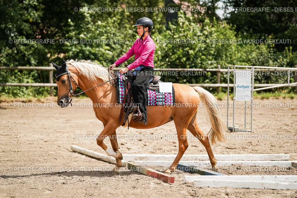 DSC08021 | Pferdegrafie