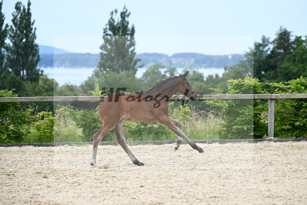 Vangelis x Brentano II_HF_Schmid_19240240 | hf-fotografie - Realisiert mit Pictrs.com