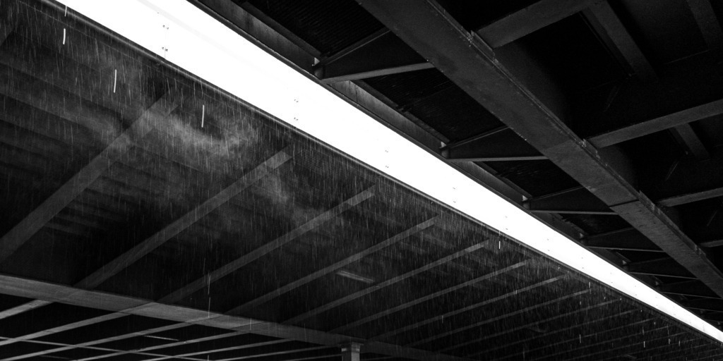 20210630_113958 | kaefersammler_roy - Realisiert mit Pictrs.com