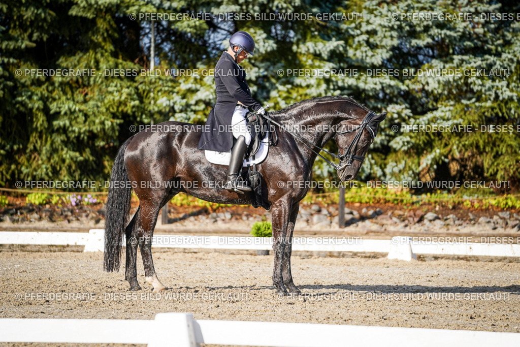 DSC00583 | Pferdegrafie