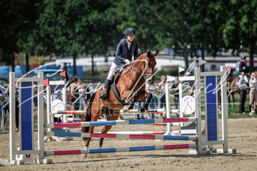 20260905-_3LI8927 | Tierfotografie Pferde, Hunde, Katzen, Haustiere.
Turnierfotografie Reitturniere, Reiten, Springreiten, Dressur in Hanau, dem Main-Kinzig-Kreis und dem Rhein-Main- Gebiet um Frankfurt