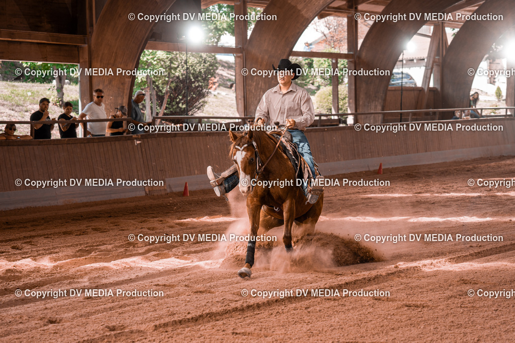 NE201036 | dv-media-shop - Realisiert mit Pictrs.com