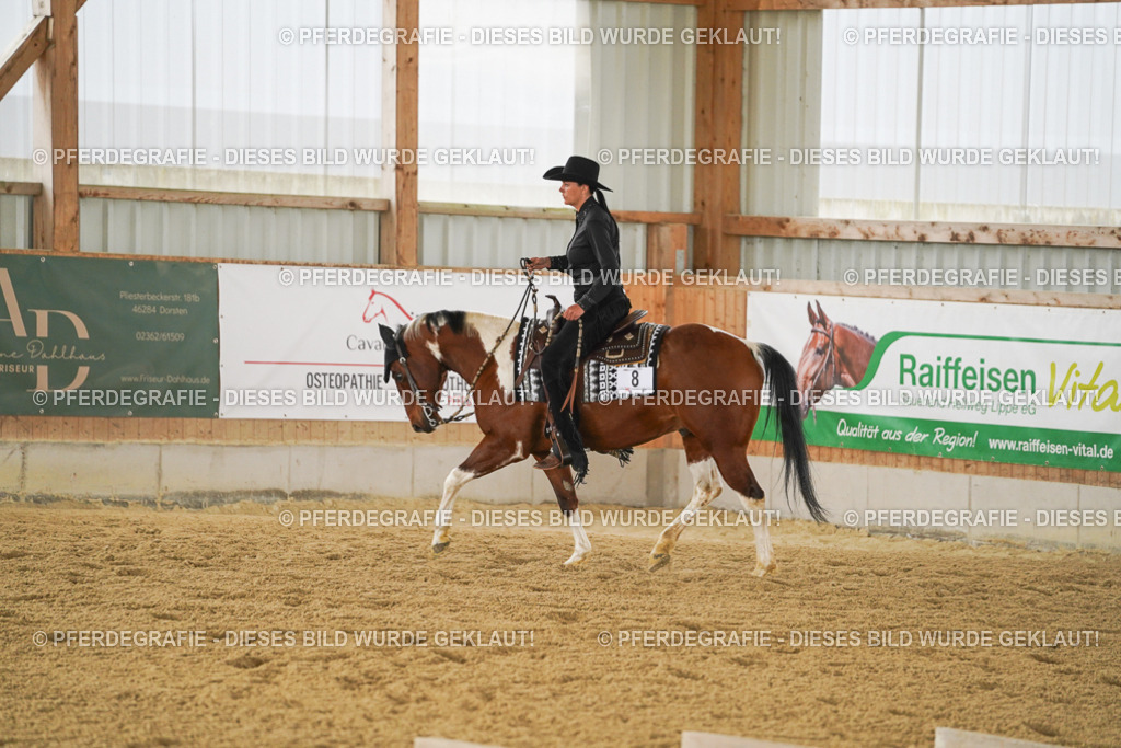 DSC04301 | Pferdegrafie