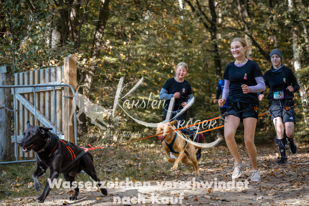 1246_ZZ96040 | kk-dogfotos