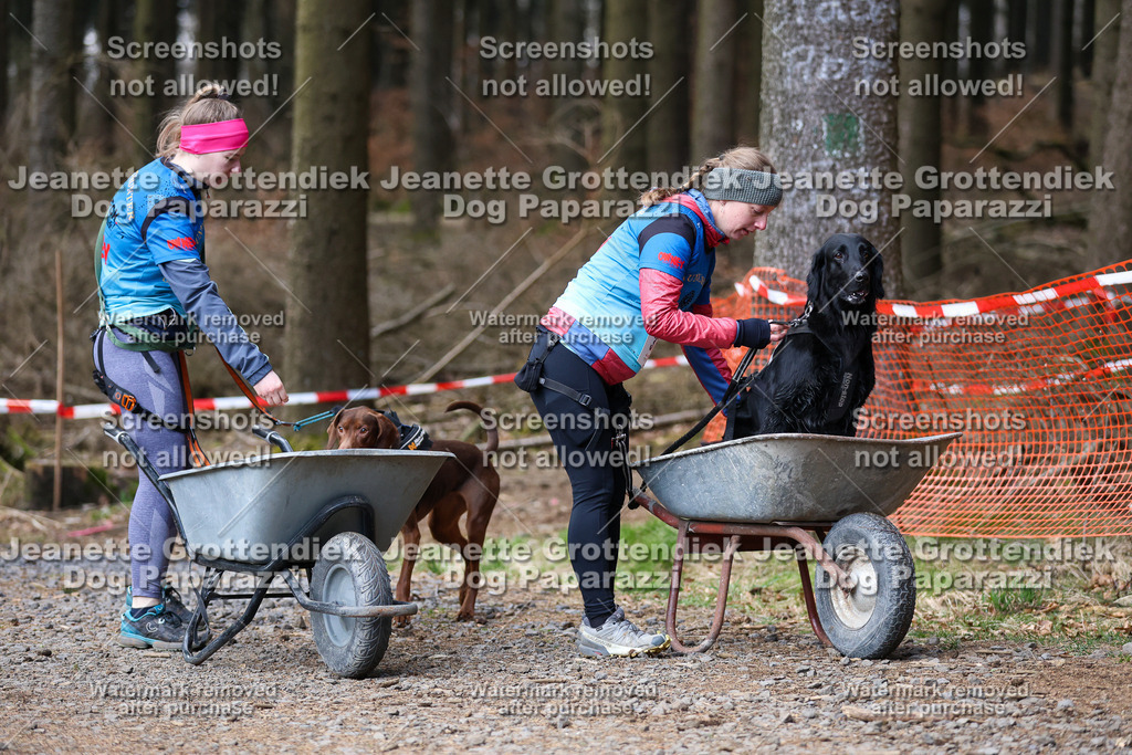 Dog Paparazzi - VCC26-794 | Dog Paparazzi Jeanette Grottendiek Fotografie & Videografie - Realisiert mit Pictrs.com
