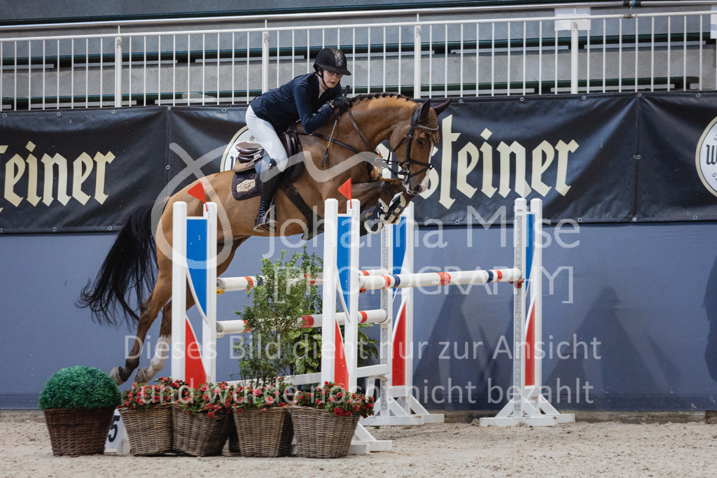 221217_Warstein_Stil-M-295 | Deine schönsten Turniermomente als professionelle Fotos! Entdecke hochwertige Pferdesport-Fotografie im Online-Shop. Jetzt Fotos finden & bestellen!