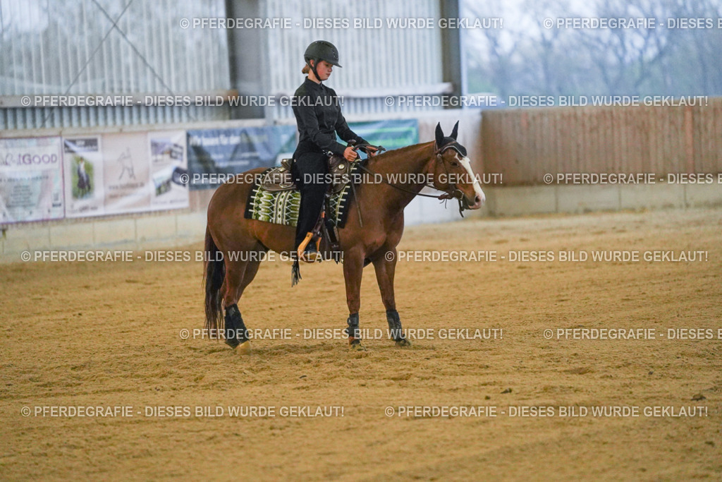 DSC09471 | Pferdegrafie