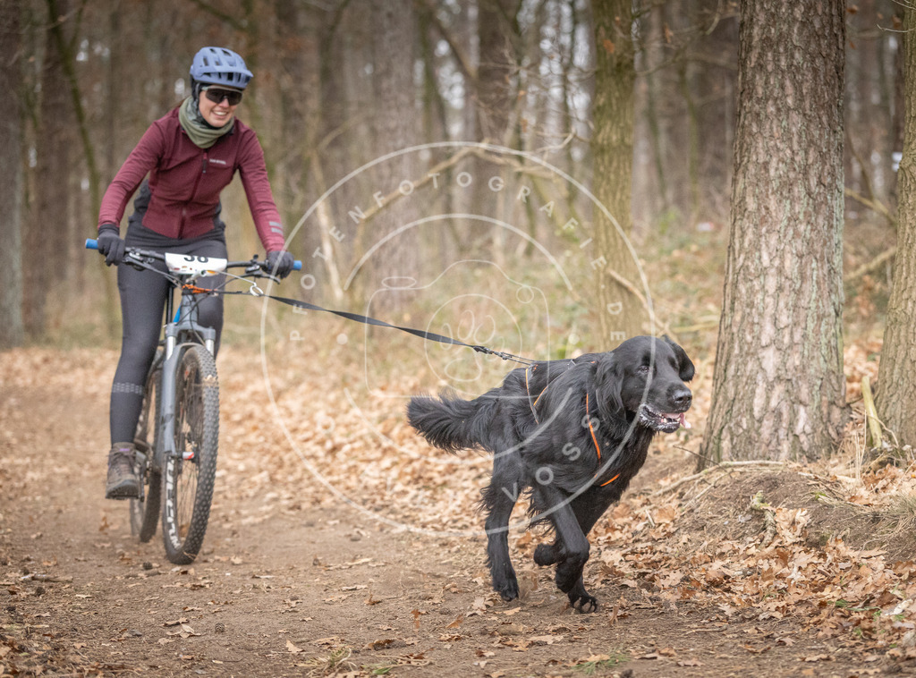 Pfotenfotografie_DV3A5919 | Hundefotografie, Tierfotograf, Pfotenfotografie, Fotoshooting Hund, Hunde Portrait, Hundesport, Hundeportraits, Heideshooting, Hunde, Sportfotograf, Hundefotograf, Turnierhundsport, THS,  - Realisiert mit Pictrs.com
