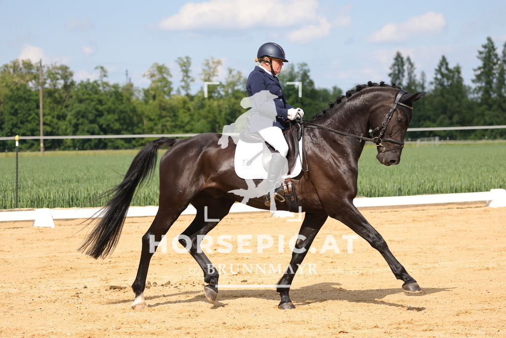 0P6A9092 | Willkommen bei Brunnmayr - Design & Fotografie – Ihrem Spezialisten für Reitturniere und Pferdeveranstaltungen in Oberösterreich, Salzburg und Bayern! Seit über 17 Jahren sind wir leidenschaftlich dabei.