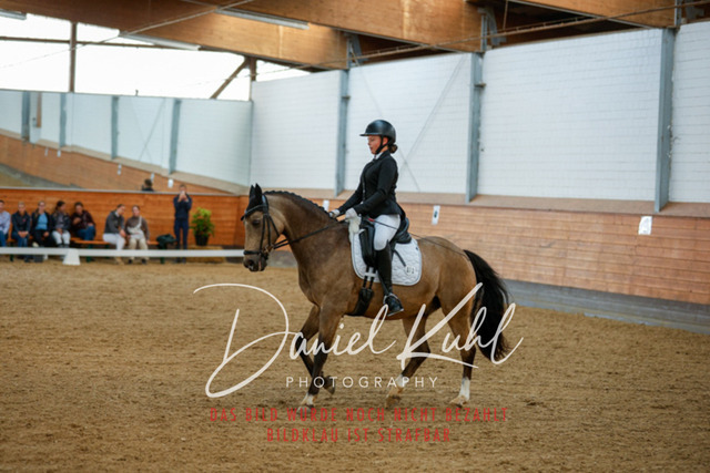 _62_7003 | Turniersportfotografie; Pferdefotografie; Dressurfotografie