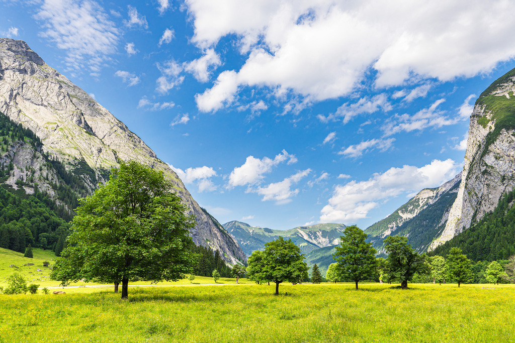 Der Große Ahornboden im Rißtal bei der Eng Alm in Österreich | Der Große Ahornboden im Rißtal bei der Eng Alm in Österreich.